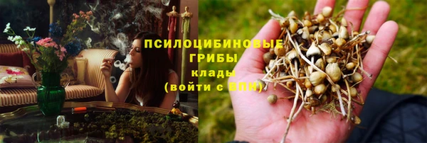 СК Абдулино