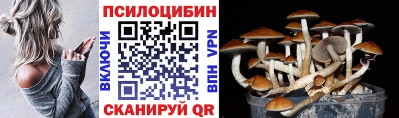 наркота  Судогда  Псилоцибиновые грибы прущие грибы 