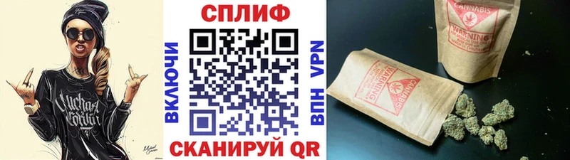 Канабис конопля  Судогда 